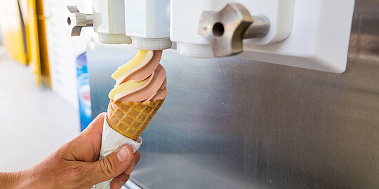 Planetary Gears for ice cream machines